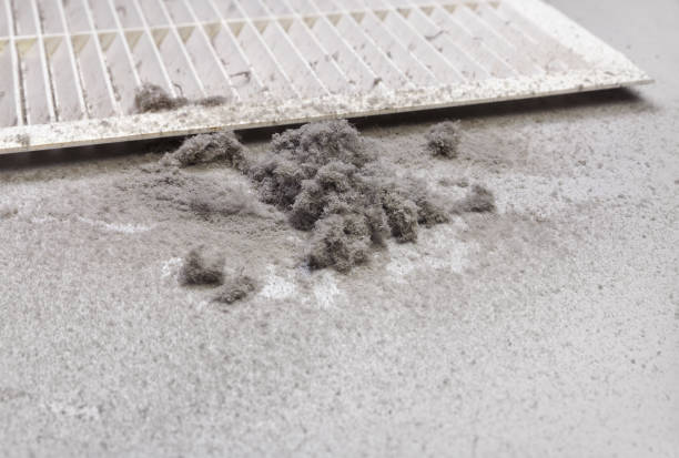 Best Best Air Duct Cleaning Company  in Hayfield, MN