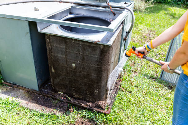 Best Air Vent Cleaning Services  in Hayfield, MN