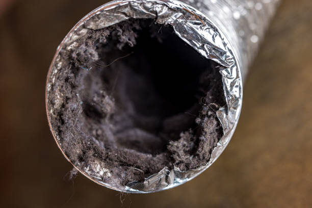 Best Air Duct Cleaning Company Near Me  in Hayfield, MN