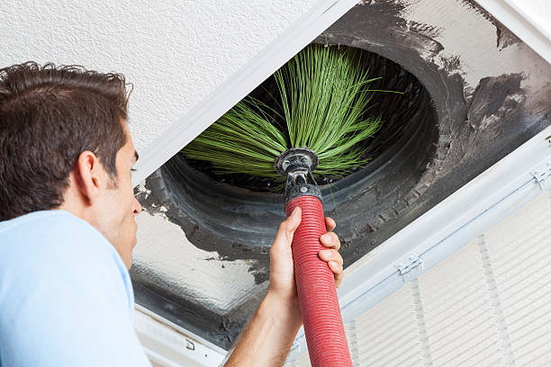 Best Air Duct Cleaning Company Near Me  in Hayfield, MN