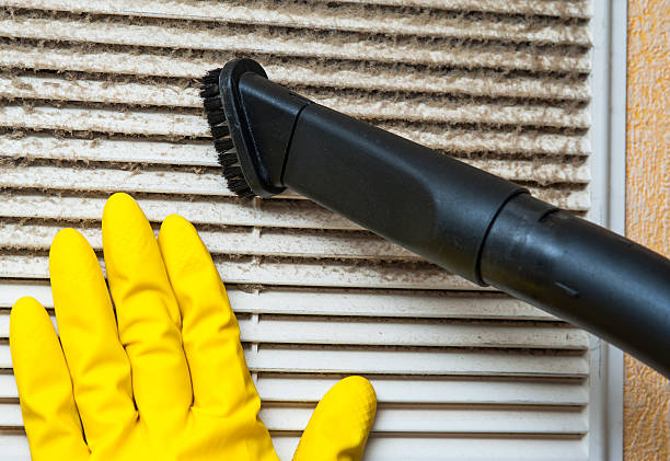 Best Affordable HVAC Duct Cleaning  in Hayfield, MN