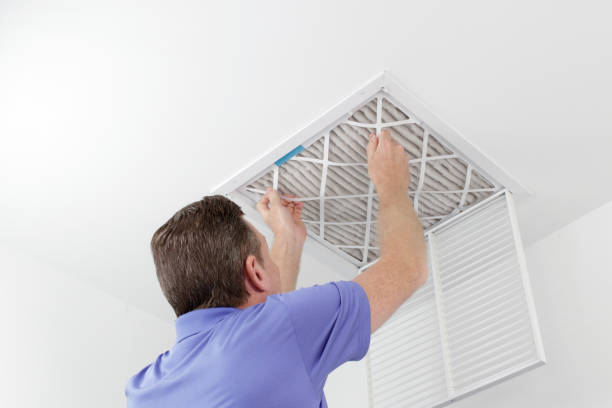 Best Ventilation Cleaning Services  in Hayfield, MN